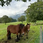 Дом отдыха El Jabar, Paraiso A 3' De Cangas De Onis Дего
