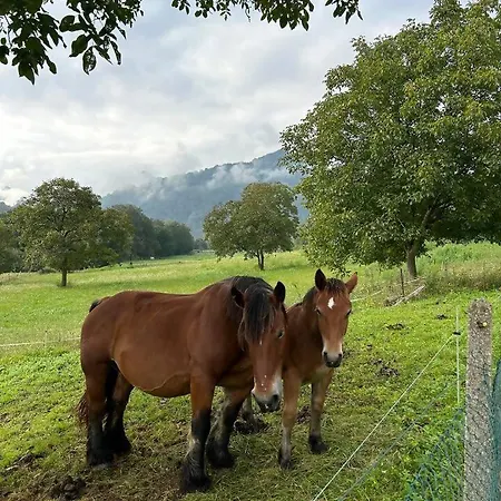 Vakantiehuis El Jabar, Paraiso A 3' De Cangas De Onis Dego