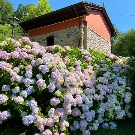 Ferienhaus El Jabar, Paraiso A 3' De Cangas De Onis