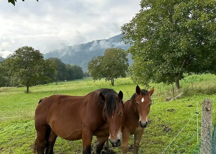Сasa de vacaciones El Jabar, Paraíso A 3' De Cangas De Onís Dego